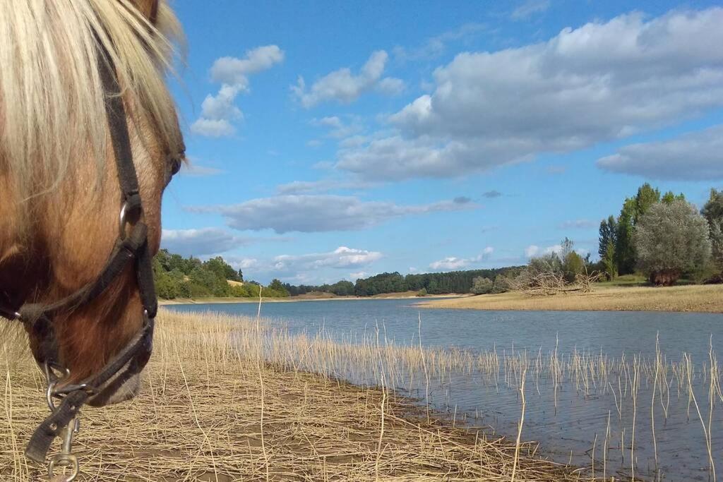 Gite En Pleine Nature Proche Du Lac De La Gimone Saint-Blancard Luaran gambar