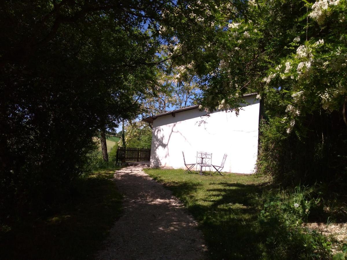 Gite En Pleine Nature Proche Du Lac De La Gimone Saint-Blancard Luaran gambar